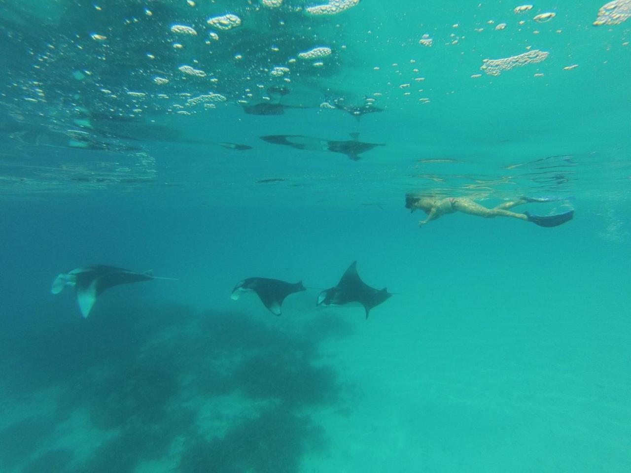 Koimala Beach Ukulhas Eksteriør billede